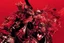 Placeholder: beautiful punk girl, hyper detailed, intricately detailed, illustration by <kilian eng> <Yoji Shinkawa>, darkred tones,