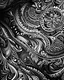 Placeholder: black and white, intricate details,