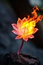 Placeholder: عکس گل یخی میخوام که اتیش میزنه بیرون