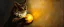 Placeholder: master oil painting by Rembrandt, good afternoon gremlin cat woman ball