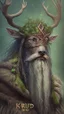 Placeholder: Druid king