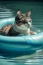 Placeholder: cat float