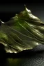 Placeholder: Organic leaf became metallic