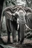 Placeholder: Gajah yang baik hati