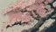 Placeholder: Japanese cherry blossom, comic style