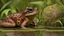 Placeholder: stylized and happy young brown frog with black stripes in its natural habitat at sunset, plain with wetlands, ravines, river with water hyacinth, ceibos and willows, dragonflies, beetles, dewdrops, digital art