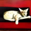 Placeholder: oil portrait of a Cat Sleeping in a Black sofa by Ignacio Zuloaga 8k