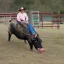 Placeholder: Pig riding a cowboy