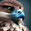 Placeholder: portrait of a falcon, feathers, extremely sharp detail, finely tuned detail, ultra high definition, 8k, unreal engine 5, ultra sharp focus, winter ambiance, forest background