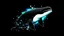 Placeholder: picture of pretty killer whale on space background