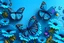 Placeholder: flowers altos detalles, blue background, 3d butterfly sobrepuesta ((butterfly color)) 4K high details , full body --auto --s2, good details, funny
