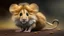 Placeholder: lion mouse