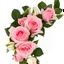 Placeholder: Pink roses, crisp detail, photograph