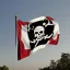 Placeholder: pirate flag