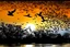 Placeholder: Create * Japanese ink painting + Disney style : white big bird’s murmuration , sunrise in Japanese Mountains , HR, HD, fantasy
