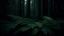 Placeholder: "Inspired by Albert Bertelsen, this trending Unsplash image features a fern leaf in a dark forest. The dense, lush woods create a naturalistic and mysterious atmosphere with a dark green jungle background. The night forest setting is enhanced by a solid, dark backdrop, making it a captivating and soft forest wallpaper."