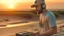 Placeholder: short beard man with cap, DJ play records ,at beach, dunes background, full body, sunset