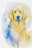 Placeholder: abstract watercolour of a golden retriever dog’s head in the style of Valerie Davide with bifurcated circles and thin pencil lines