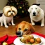 Placeholder: Dogs eating Christmas dinner with alien lion and floating ball