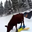 Placeholder: Snowboarding cow