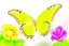 Placeholder: vibrant butterfly, its wings reflecting the rainbow, settled on a dew-kissed rose in a lush garden, with a warm and lively atmosphere"