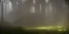 Placeholder: Ruined overgrown castle deep in a misty forest, light rays, dynamic lighting