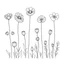 Placeholder: set of grow wind flower on the grace, SIMPLE ONE lineS art, white background, minimalis, different view, only white bakcground solid.