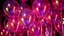 Placeholder: iridescent balloons. Detailed colour photograph.