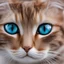 Placeholder: CAT eyes , CLOSE-UP, BLURRED BACKGROUND