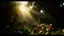 Placeholder: The garden of the moment Cinematic film still, shot on v-raptor XL, film grain, vignette, color graded, post-processed, cinematic lighting, 35mm film, live-action, best quality, atmospheric, a masterpiece, epic, stunning, dramatic
