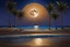 Placeholder: Full moon through palm trees, sandy beach, reflection in the ocean