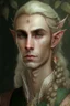 Placeholder: A portrait of a noble male Elf, a bit feminine