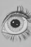Placeholder: outline picture of the entire human eye and minimal lashes