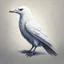 Placeholder: Draw an enigmatic white crow