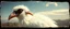 Placeholder: 3d airbrush render, white fluffy magpie elf alien dodo , pinhole cam, airbrush 3d rendering, in the style of Titian and Dali , torn edges on border