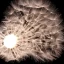 Placeholder: a small, fluffy dandelion on fire at the middle left part of the picture, with flying sparks around it, dreamlike minimalist art