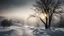 Placeholder: calm beauty, uplifting, inspiring, therapeutic, landscape, winter, sunlight, chiaroscuro, color, award-winning colour photograph, Nikon 85mm