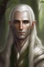 Placeholder: Portrait of male elf with long White hair