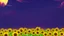 Placeholder: stylized, purple sky full of stars, sunflower field