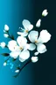 Placeholder: White blossom digital art with blue background