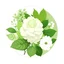 Placeholder: garden themed green logo with hydrangea, sage and roses, no text