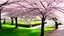 Placeholder: Fortnight, cherry blossom tree