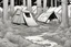 Placeholder: campsite, tents, overgrown, post-apocalyptic, comic book, forest