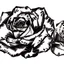 Placeholder: A rose, black & white outline art