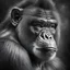 Placeholder: Photoreal Donkey Kong by Lee Jeffries