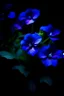 Placeholder: Purple and blue bloomes, natural and very special in the dark of the humid night -- ar 9:16--v52