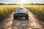 Placeholder: a plastic bottle car made of several plastic bottles on a dirty road next to a corn field in sunshine a little black boy standing happily next to it, ethereal, cinematic postprocessing, bokeh, dof