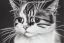 Placeholder: cat art drawing full