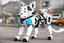 Placeholder: Tobot robot Husky