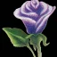 Placeholder: purple flower, glossy anime